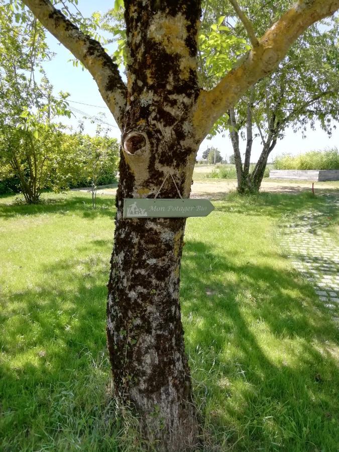 La Planche Princée, Chambres d'hôtes écolo et Potager bio, Sauna Les Rosiers Esterno foto