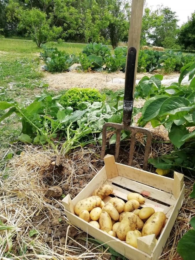 La Planche Princée, Chambres d'hôtes écolo et Potager bio, Sauna Les Rosiers Esterno foto