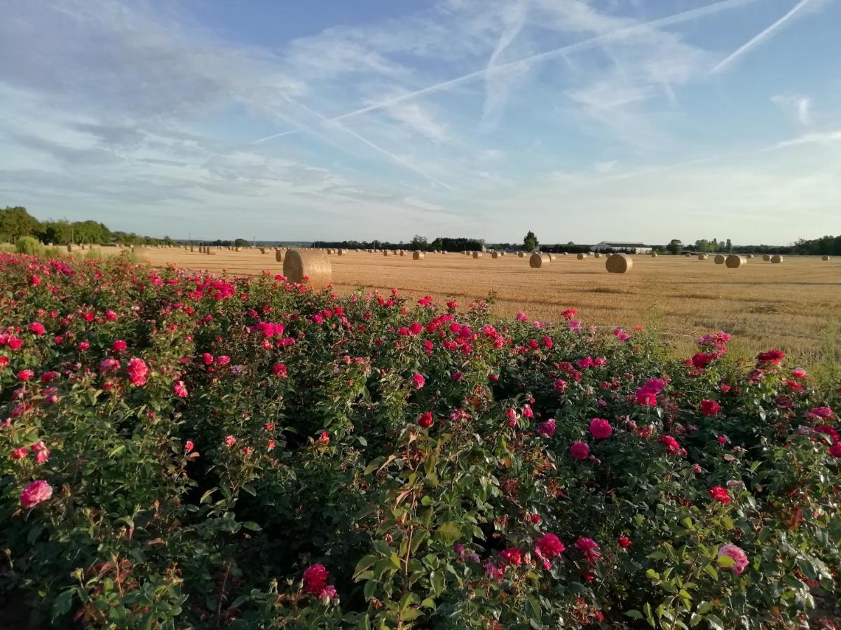 La Planche Princée, Chambres d'hôtes écolo et Potager bio, Sauna Les Rosiers Esterno foto